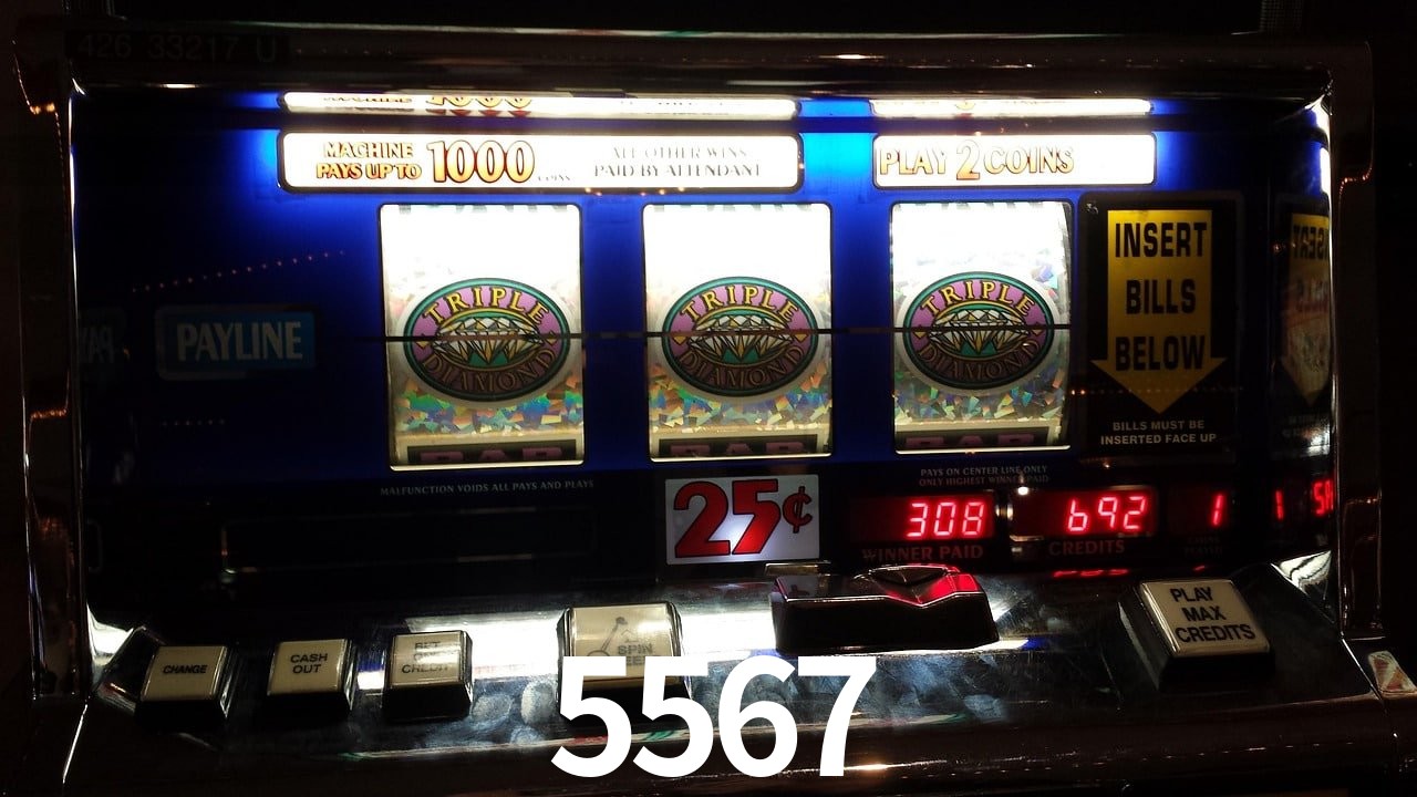 Sports Statistics 5567